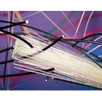 ���w�����w����